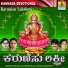 B.R. Chaya