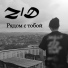 Z D