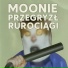 MOONDAY