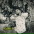 Inder