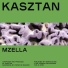 Kasztan