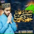 Ali Habib Chishti