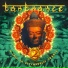 Psyhedelic Trance Vol.2