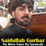 Saidullah Gurbaz