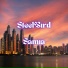 SteelBird