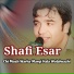 Shafi Esar