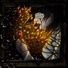 ZYGOMATICUS feat. Pyrokinesis