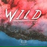 Audio Shiner feat. Nico Schestak