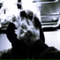 RIPTIS