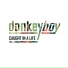 Donkeyboy