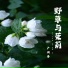 卢润泽