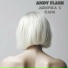 Andy Flash