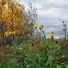 Лебедев Сергей Владимирович