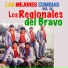 Los Regionales Del Bravo