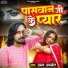 Aman Anmol