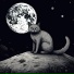 Farfaone