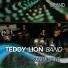 Teddy Lion Band