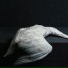 Amenra