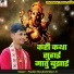 Pandit Shashishekhar Ji