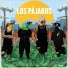 Los Pájaros feat. Rocio Igarzabal