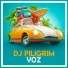 DJ Piligrim