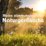 Waldgeräusche