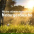 Sound Akademie