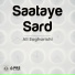 Ali Sagharichi