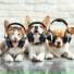 Sound Library XL, Neo Tantra, TR3X