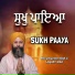 Bhai Jaswinder Singh Ji (Jagadhari Wale)