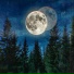 moonwalker