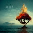 AIFER