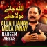 Nadeem Abbas