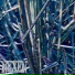 Nexen