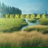 YUNGADAS