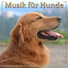 Music for Dogs Peace