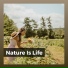 Worldwide Nature Studios