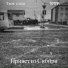 Твоя слеза, tottip.