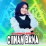 Nazia Marwiana feat. Ageng Music
