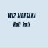 Wiz Montana