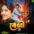 Samir Karmakar feat. Mira Das
