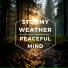 Sleep Rain Memories
