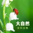 白噪音