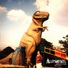 Action Park