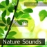 Tracks of Nature