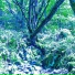 Kenzou Kumei