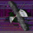 Winged Echidna