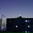 FLONEX