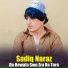 Sadiq Naraz