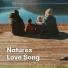The Nature Soundscapes